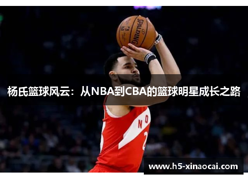 杨氏篮球风云：从NBA到CBA的篮球明星成长之路